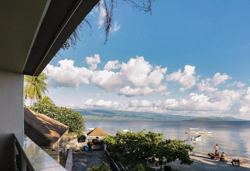 스탠다드 룸 바다 전망, Turtle Bay Dive Resort