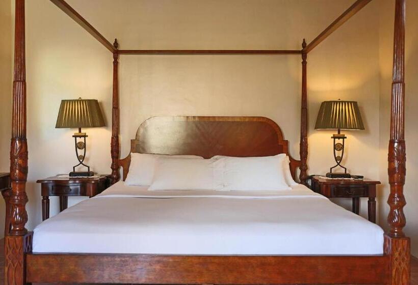 스탠다드 룸 킹사이즈 침대, Turtle Bay Dive Resort