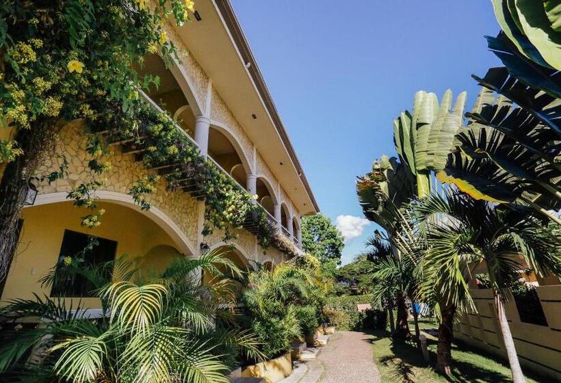 수피리어 패밀리 룸, Turtle Bay Dive Resort