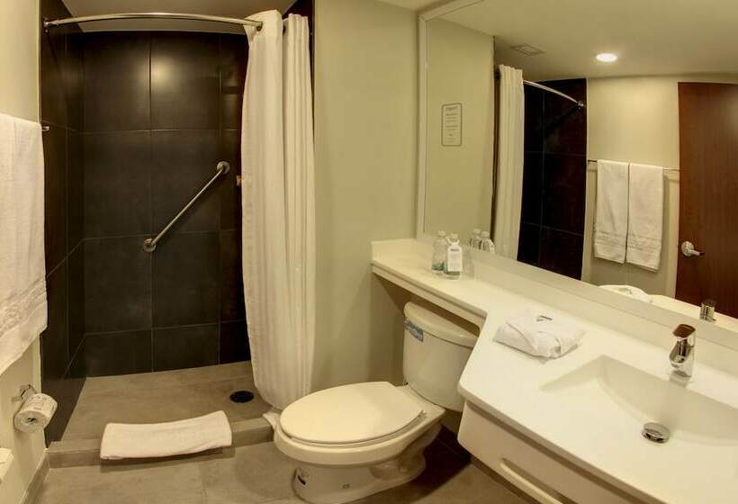 اتاق سوپریور, City Express By Marriott Santiago Aeropuerto