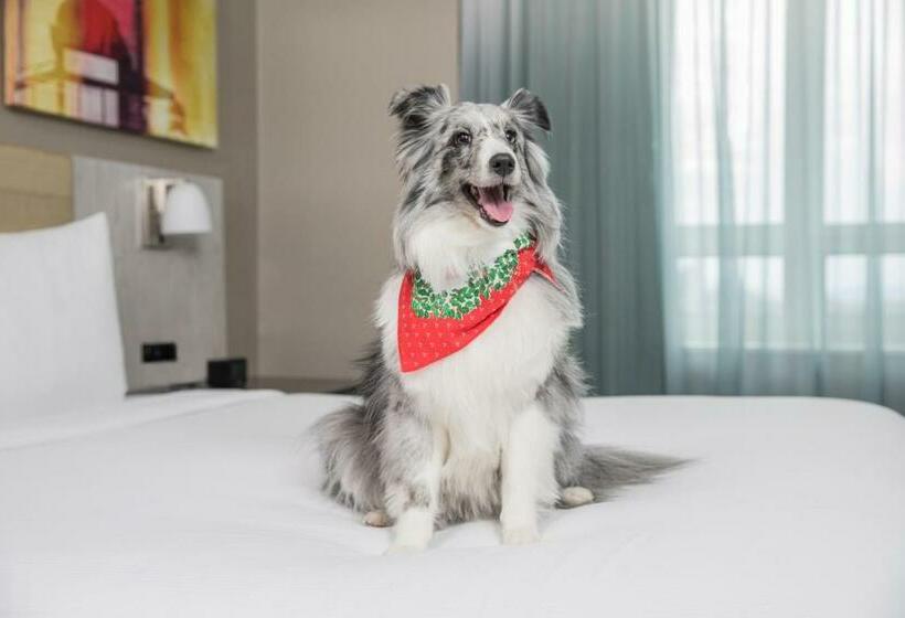 带大床的标准间, Doubletree By Hilton  New York Times Square West