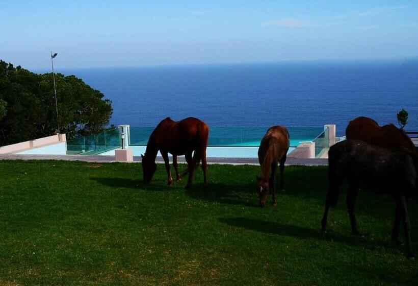 디럭스 패밀리 룸, Tsitsikamma On Sea Resort