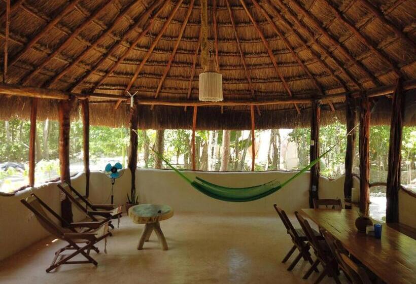スタンダードルーム, Room In Lodge   Eco Lush Double Mayan Dome Cenote And Bikes