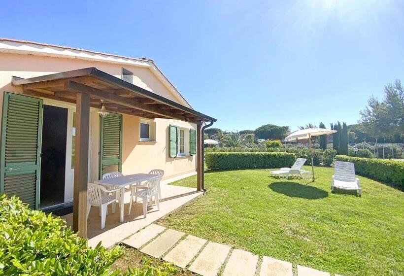 带1个卧室的公寓, Isa Residence With Swimming Pool In Mazzanta At Only 600 Meters From The Beach, Apartments With Air