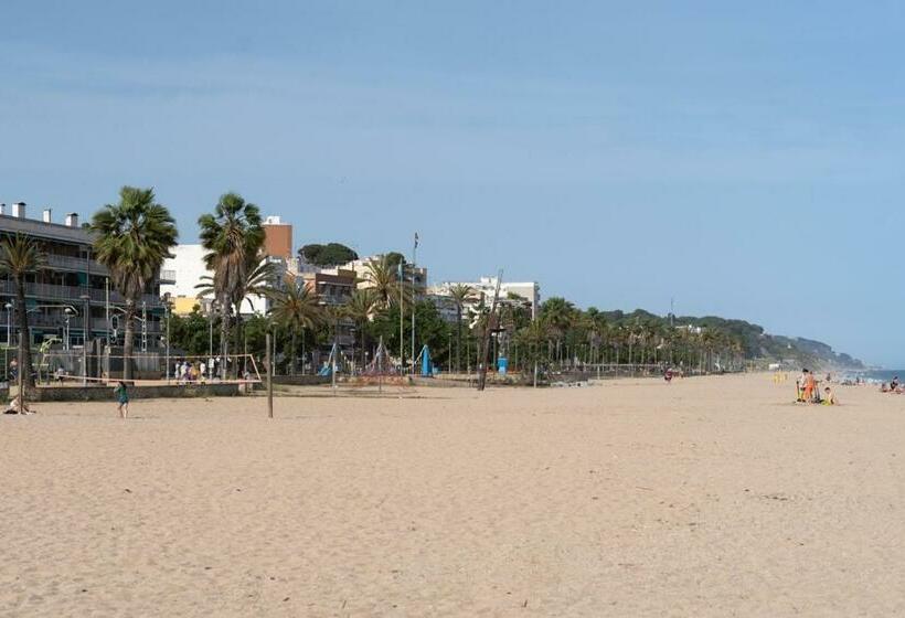 مجموعه ویستا شهر, El Petit Palauet