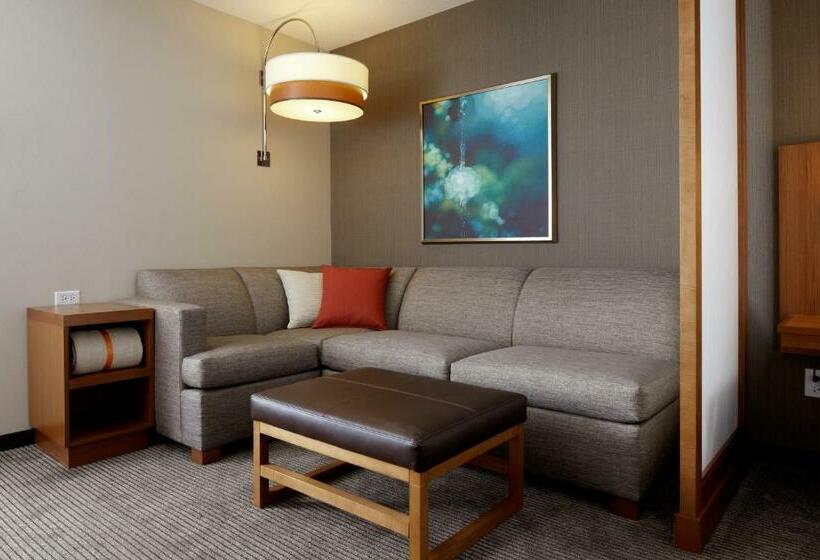 Номер Стандарт, Hyatt Place West Des Moines/jordan Creek