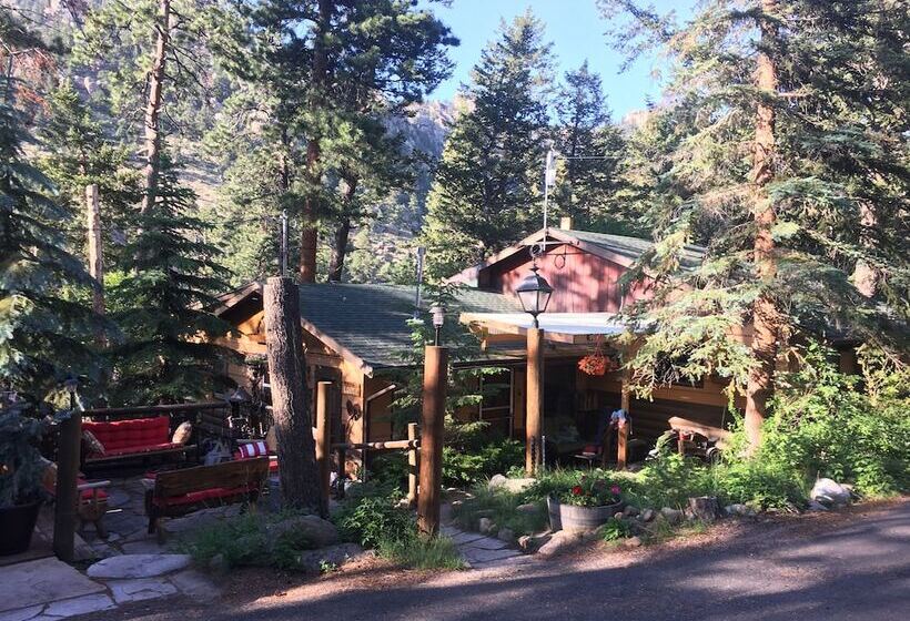 스탠다드 룸, Pine Haven Resort