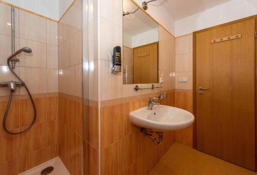 Номер Стандарт, Modřín Wellness V Ceně