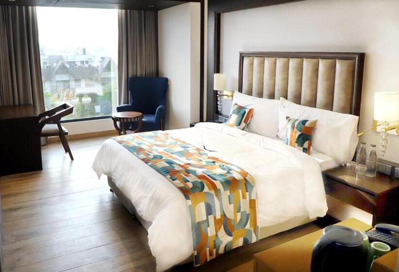 豪华房间, Blusalzz Residence Amritsar