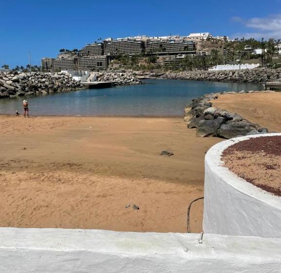 דירת שני חדרים, Pura Vida