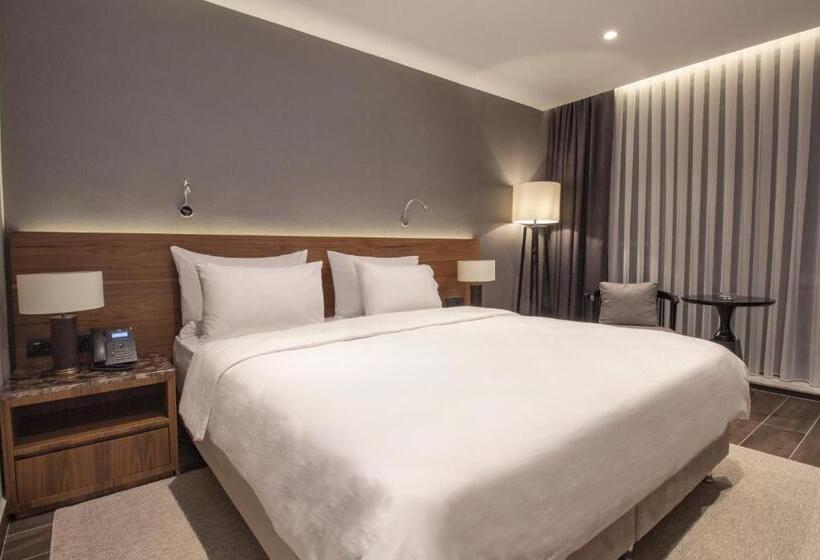 اتاق استاندارد با تخت بزرگ, Elite World Comfy Samsun Atakum