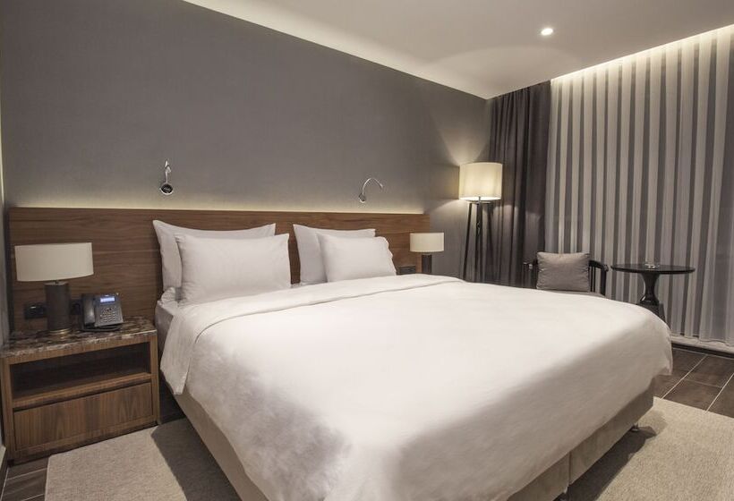 اتاق استاندارد با تخت بزرگ, Elite World Comfy Samsun Atakum