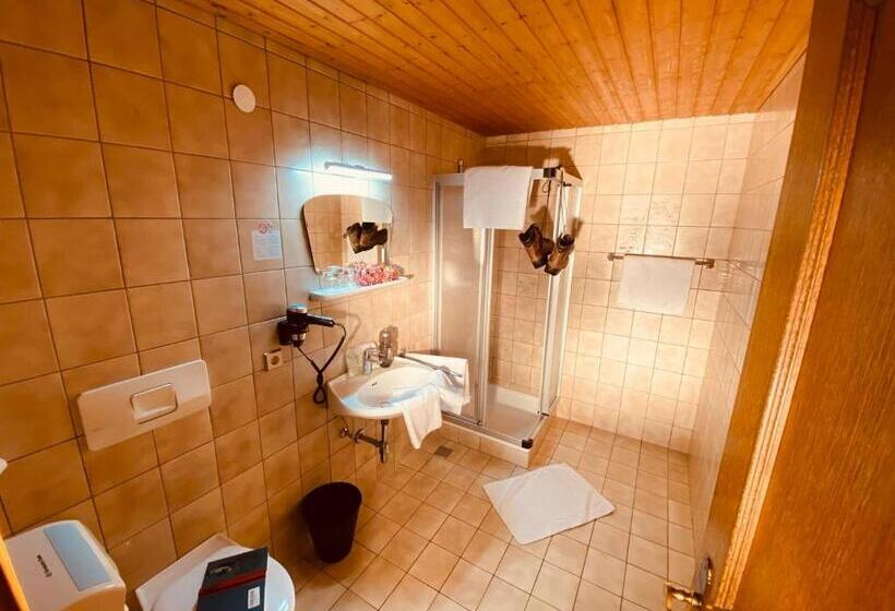 Трежместный Номер Economy, Standlhof Zillertal