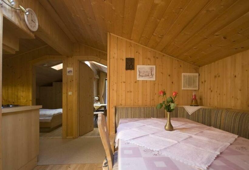 Апартаменты 1 Спальня с Балконом, Ferienwohnungen Haus Schett