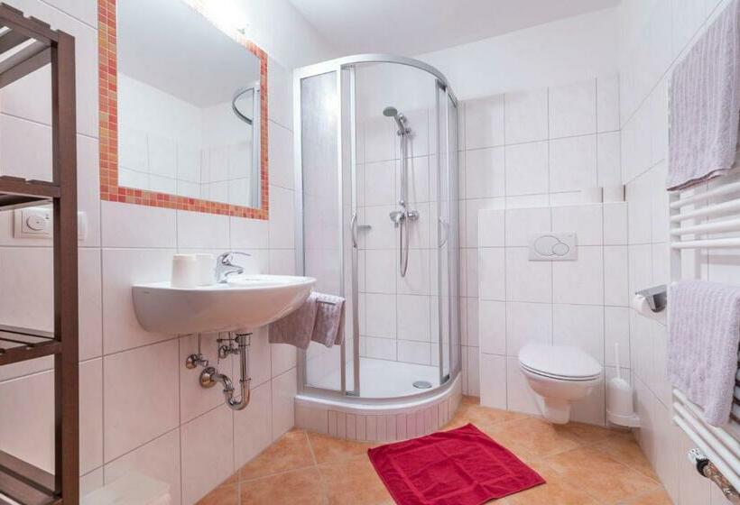 Апартаменты 1 Спальня с Балконом, Wechslerhof