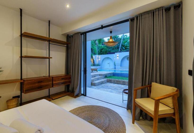 Номер Стандарт, Terra Resort