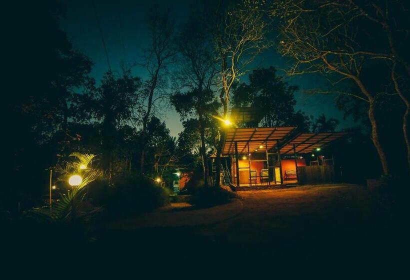 Семейный Номер, Bob Danish Resorts