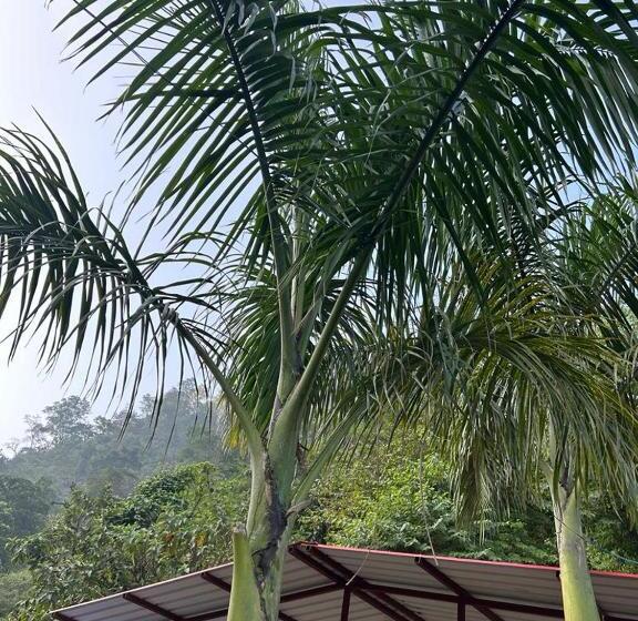 豪华房间, The Family And Friends Resort Rishikesh