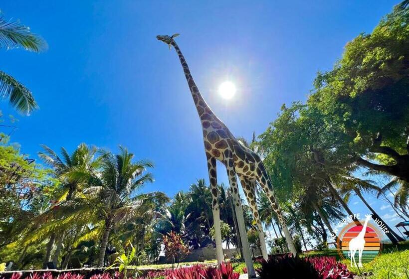 스탠다드 룸, New Giraffe House