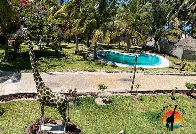 Четырехместный Номер Стандарт, New Giraffe House