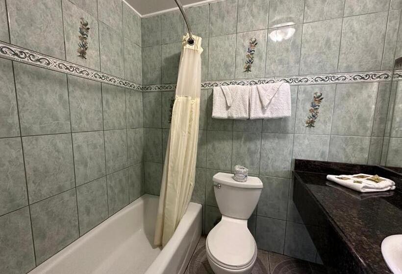 Номер Deluxe, Flamingo Motel Oxnard