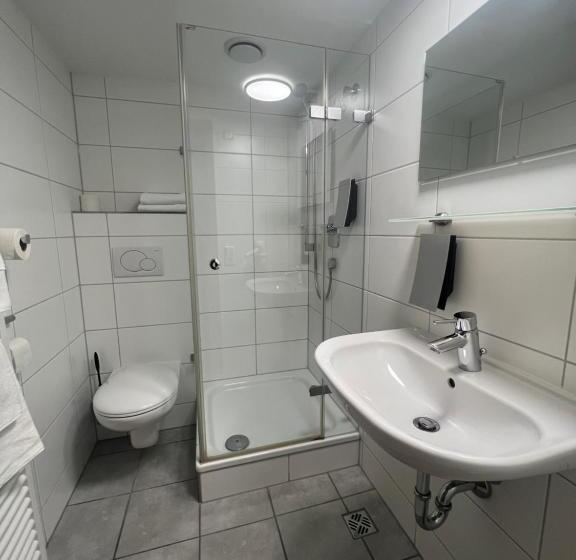 Номер Стандарт, Restaurant Kreuz Spaichingen
