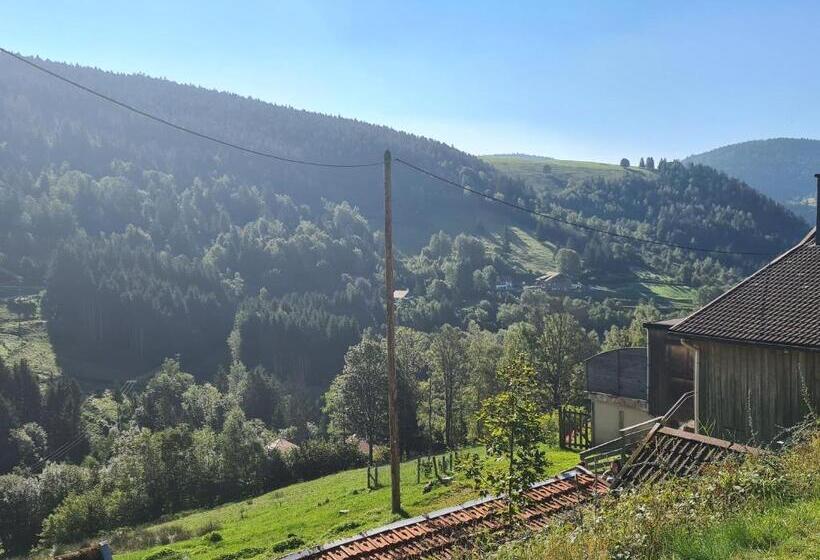Номер Стандарт, Maison D Hôtes Chaleureuse En Montagne, Proche De La Bresse Hohneck Et Gérardmer, Idéale Pour Randon