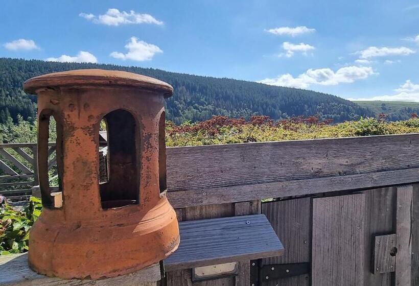 Номер Стандарт, Maison D Hôtes Chaleureuse En Montagne, Proche De La Bresse Hohneck Et Gérardmer, Idéale Pour Randon