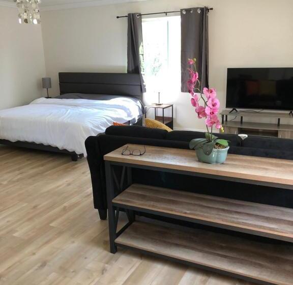 Номер Стандарт, Brand New Room With Essentials