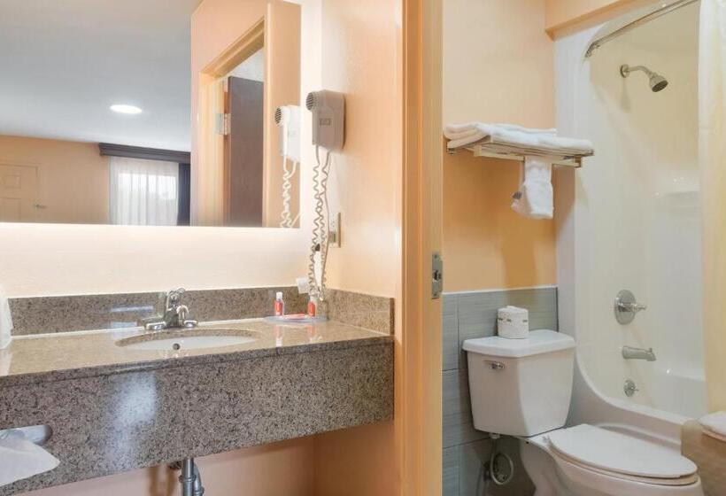 Номер Deluxe Одноместный, The Jewel Motel