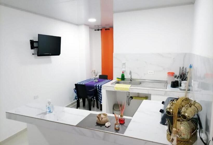 استودیو خانوادگی, Apartamentos Nashi