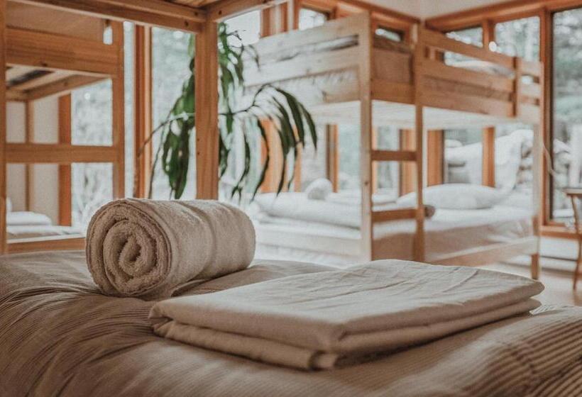Четырехместный Номер Economy, Auberge Yoga Salamandre
