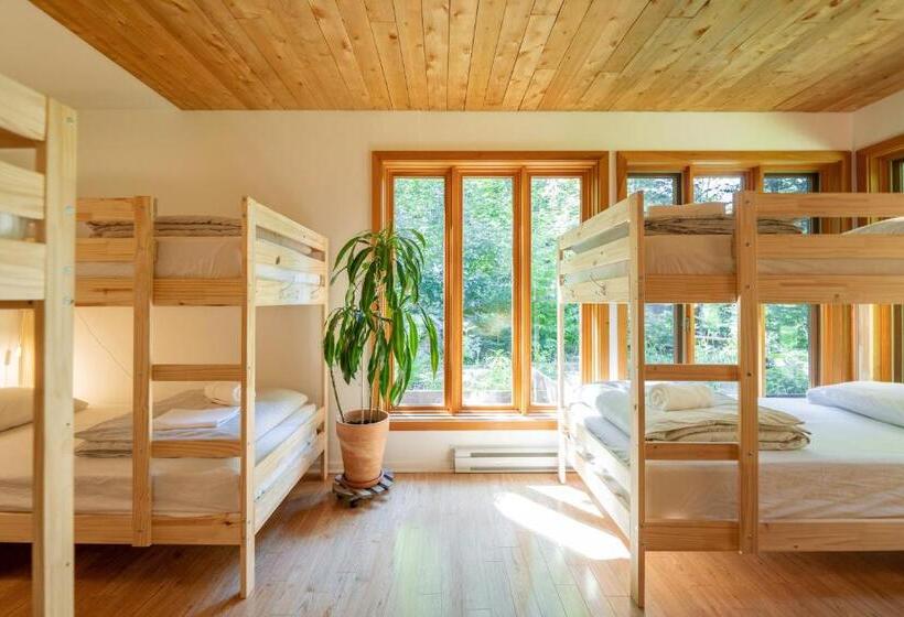 Четырехместный Номер Economy, Auberge Yoga Salamandre