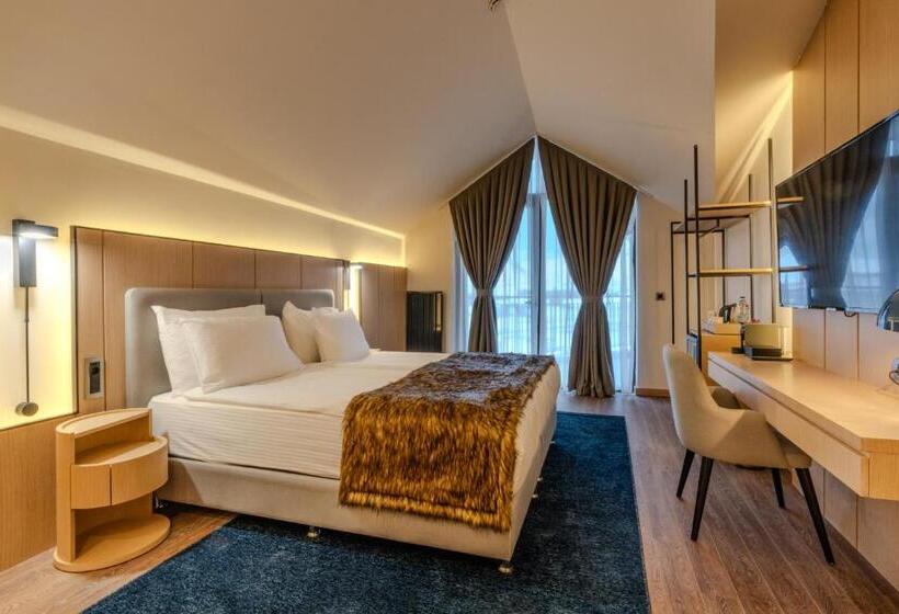 Президентский Люкс, Megasaray Mount Erciyes