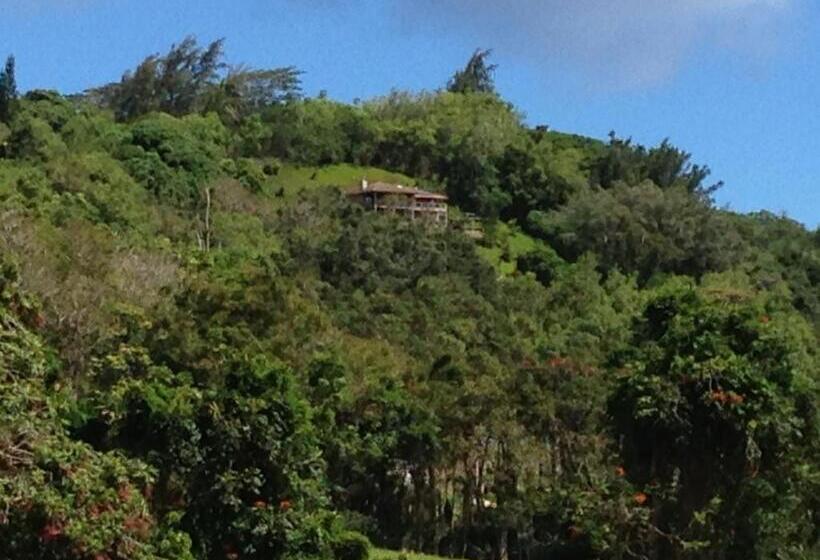 Номер Deluxe, Marjorie S Kauai Inn