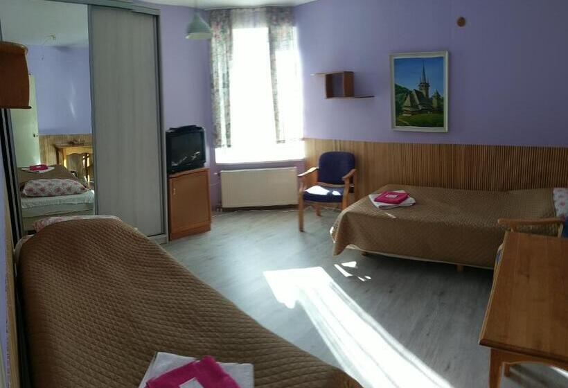 스탠다드 룸 공동 욕실, Guest House Uzhgorod