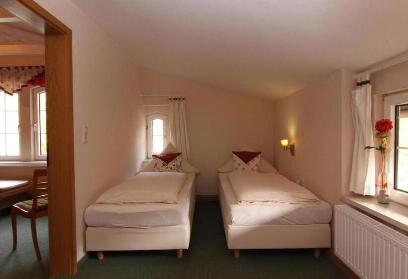 Люкс, Rabenauer Mühle Bed & Breakfast