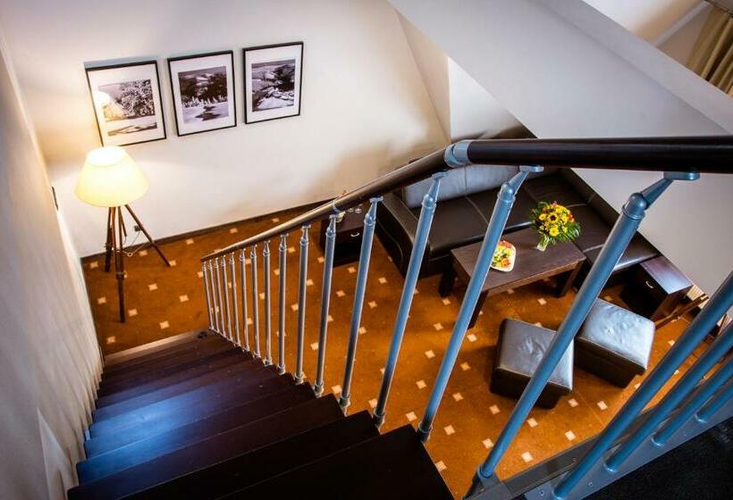Студия Стандарт, Nowy Dwór Elizy Blisko Sky Bridge