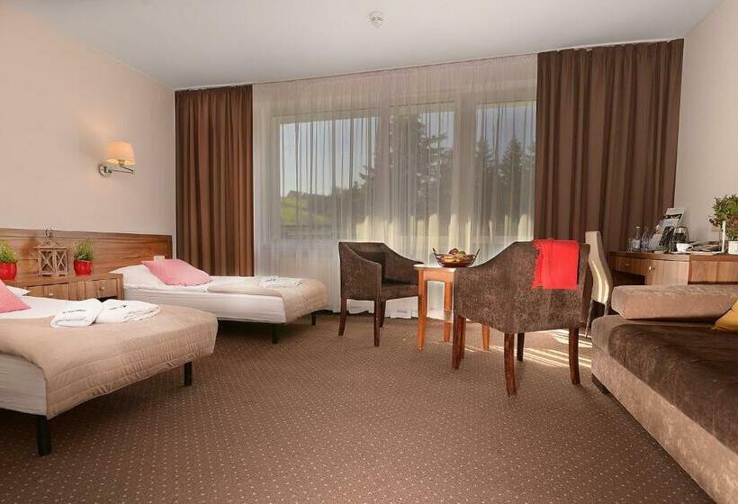 Номер Стандарт Трехместный, Skalny Spa Bieszczady
