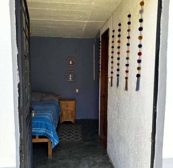 Номер Стандарт, B61 Hostal