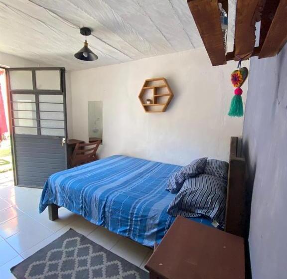 Номер Стандарт, B61 Hostal