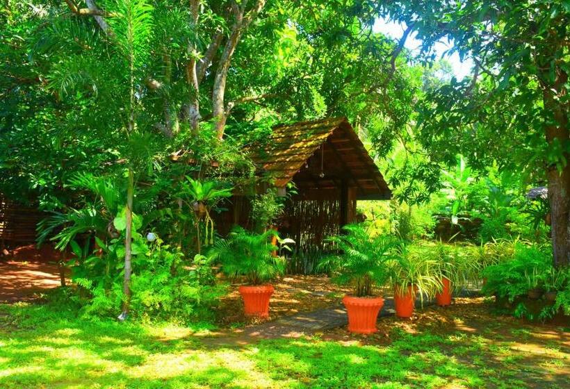 Номер Стандарт, River Place Resort Udawalawa
