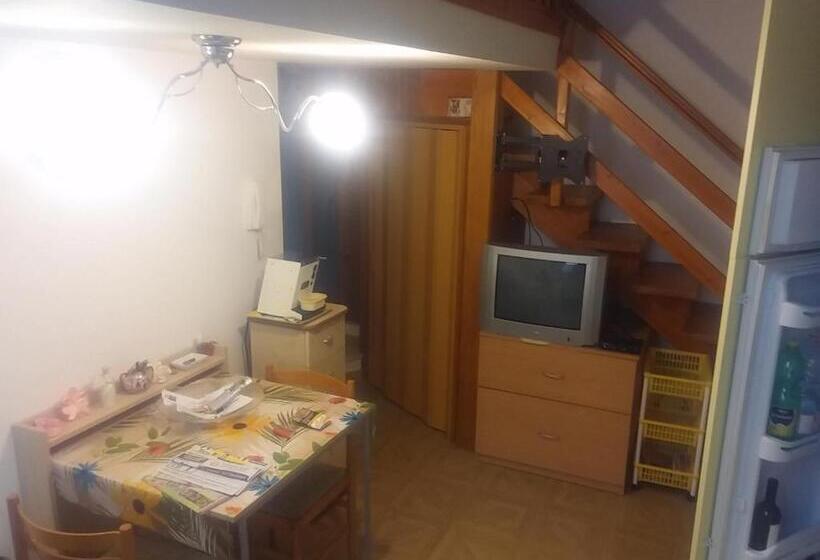 Номер Стандарт, Sapri Holidays