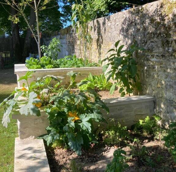 Номер Стандарт, Pierres Et Jardins