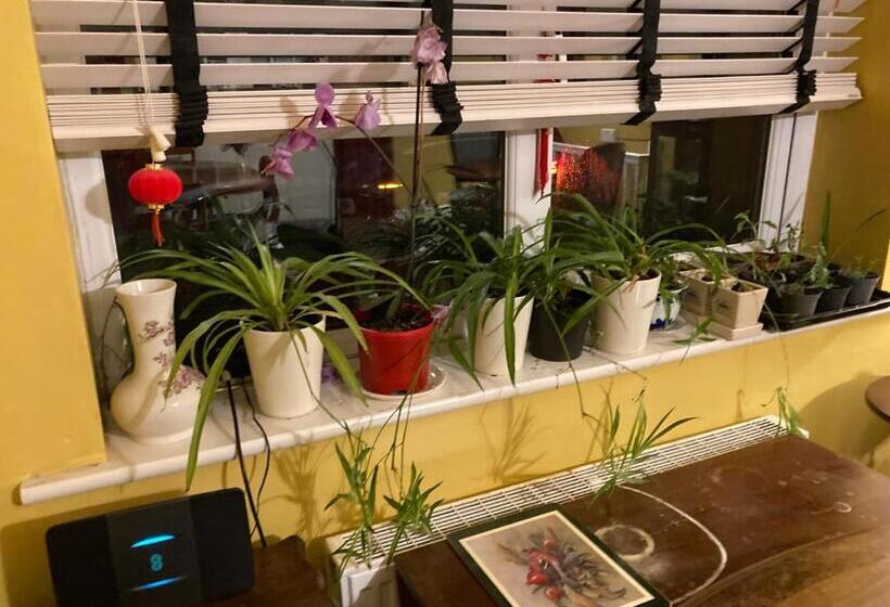 Номер Стандарт Индивидуальный, Hong Kong Inn
