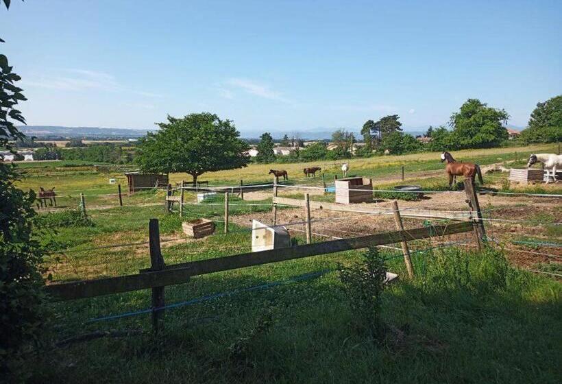 Шале 1 Спальня, Domaine De Cozance Chambres D Hôtes Et Gîte