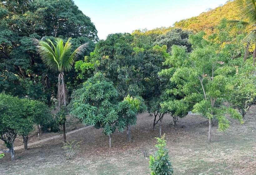 침실 1개 발코니 아파트, Encanto Do Parque Hospedagem