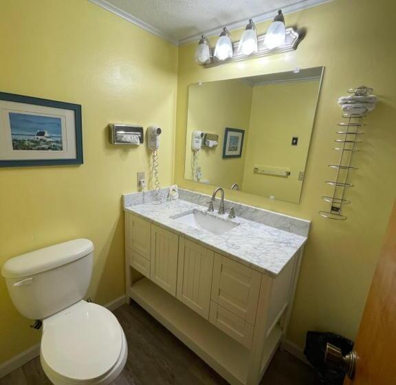 Дом 3 Спальни, Plantation Motel