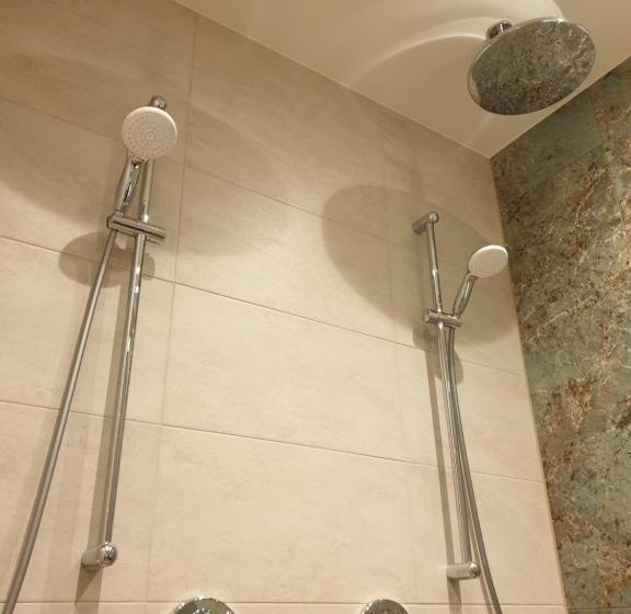 اتاق سوپریور با تخت بزرگ, Suite De Brinkparel