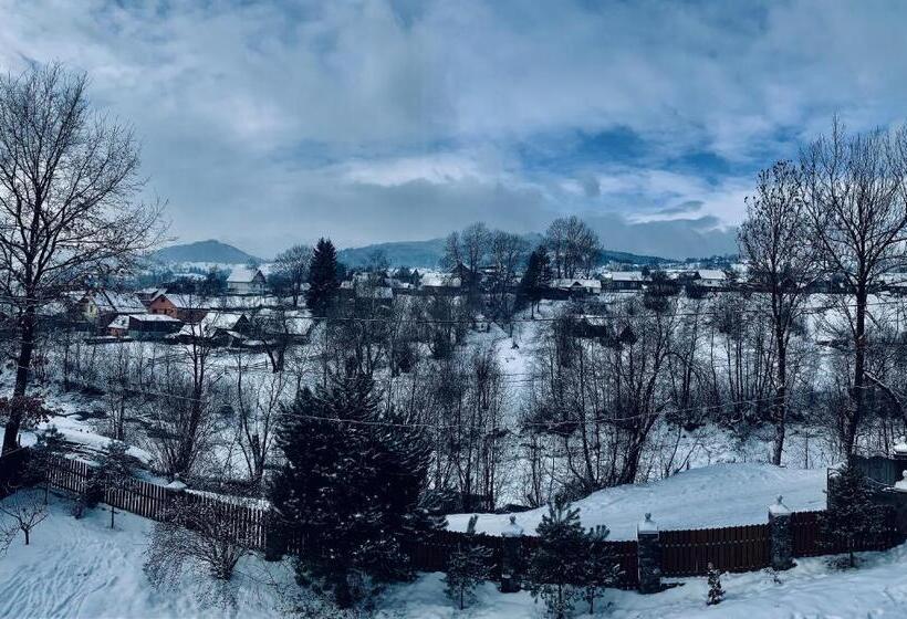 Номер Стандарт Вид на Горы, Arnica